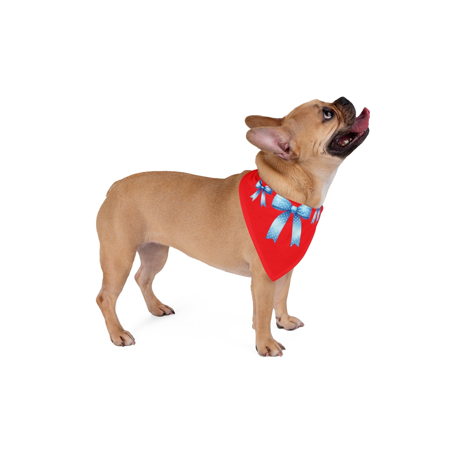 4th of July Bow, Patriotic Coquette Bandana