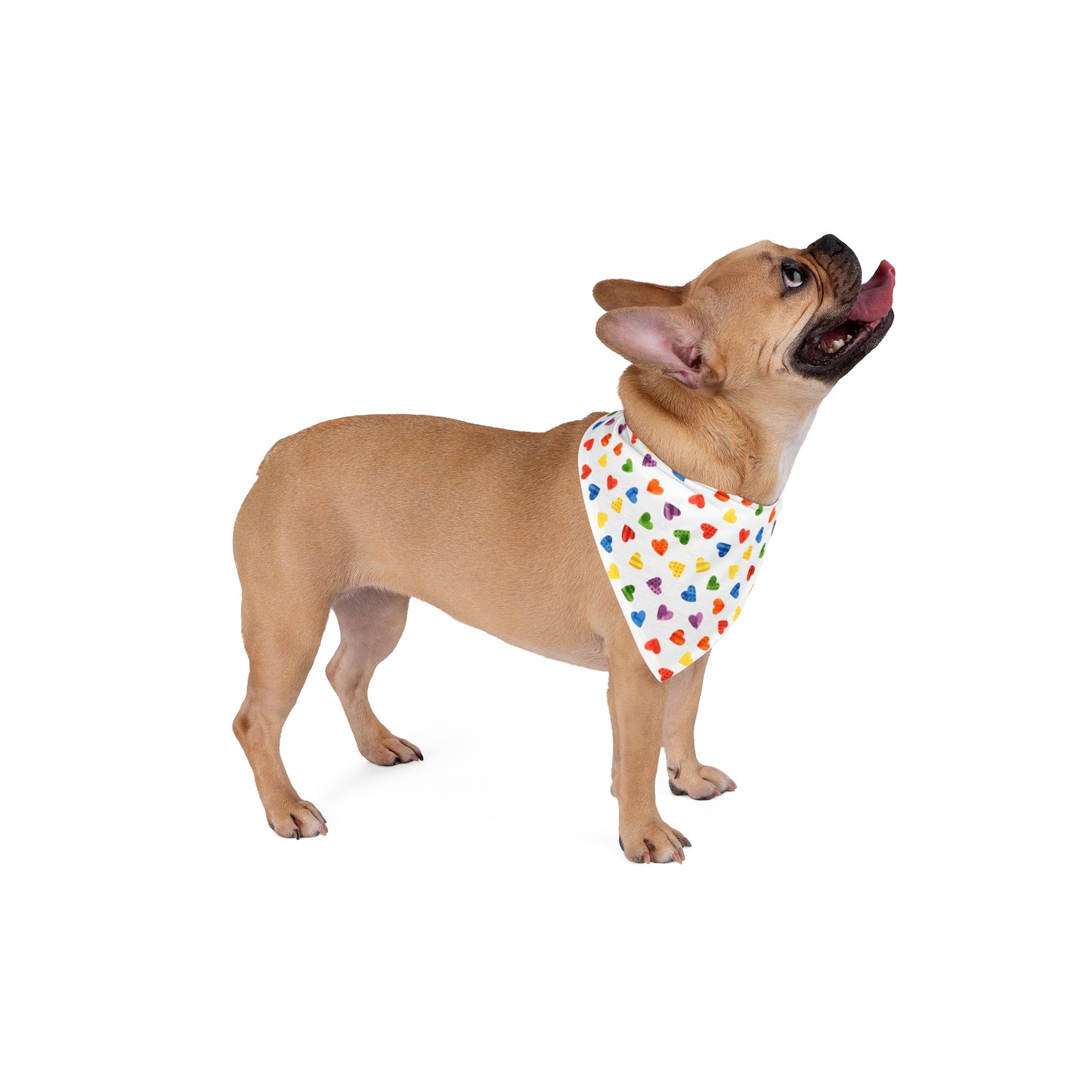 Pride Month Special Pattern Bandana