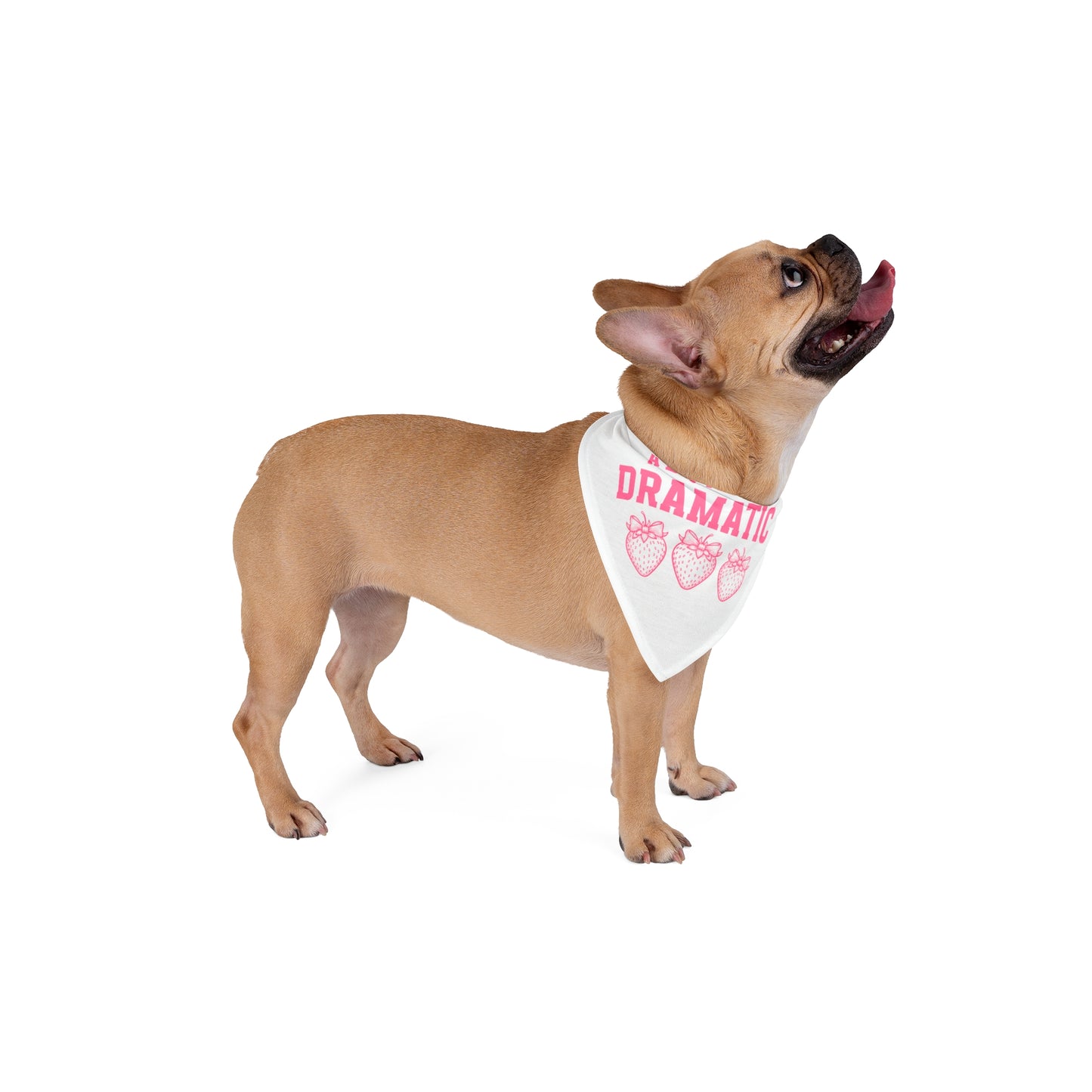 A little bit dramatic, Coquette Bandana