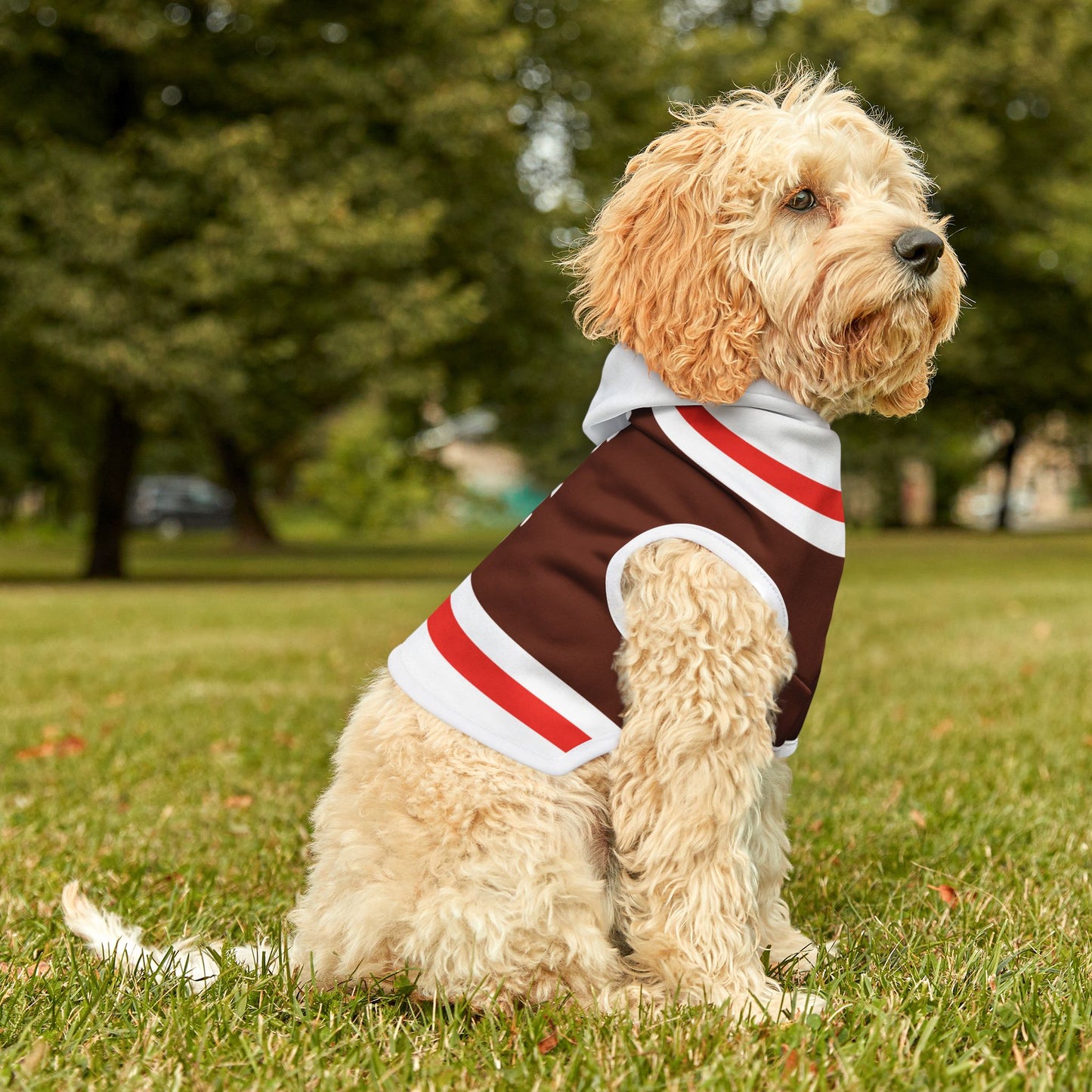 Personalized Name Tootsie Roll Pet Halloween Hoodie - Adorable Dog Costume - 5 Sizes Available