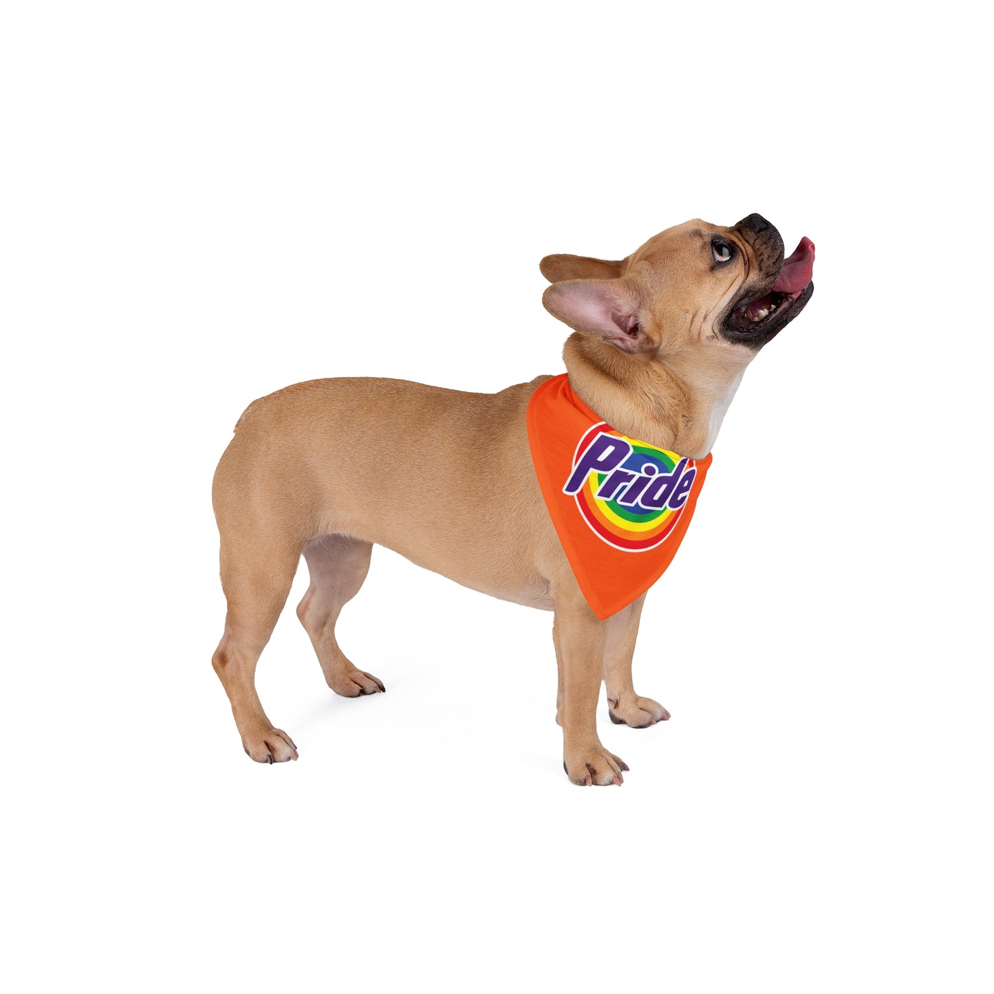 Pride rainbow Bandana