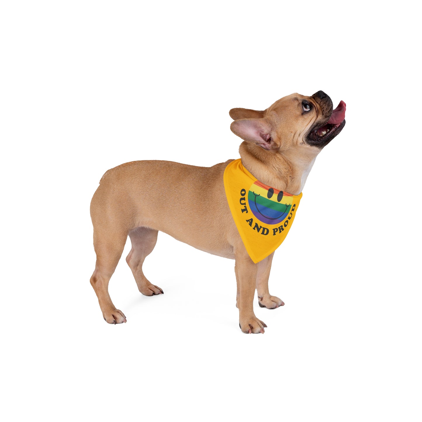 Out and proud, Pride rainbow Bandana