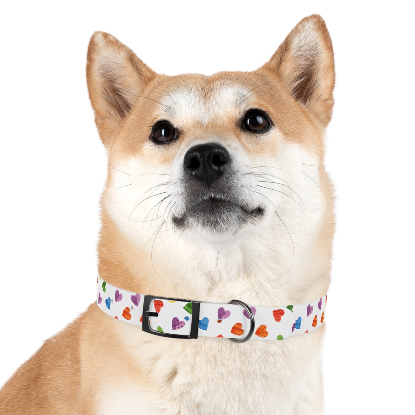 Pride Special Pattern Dog Collar