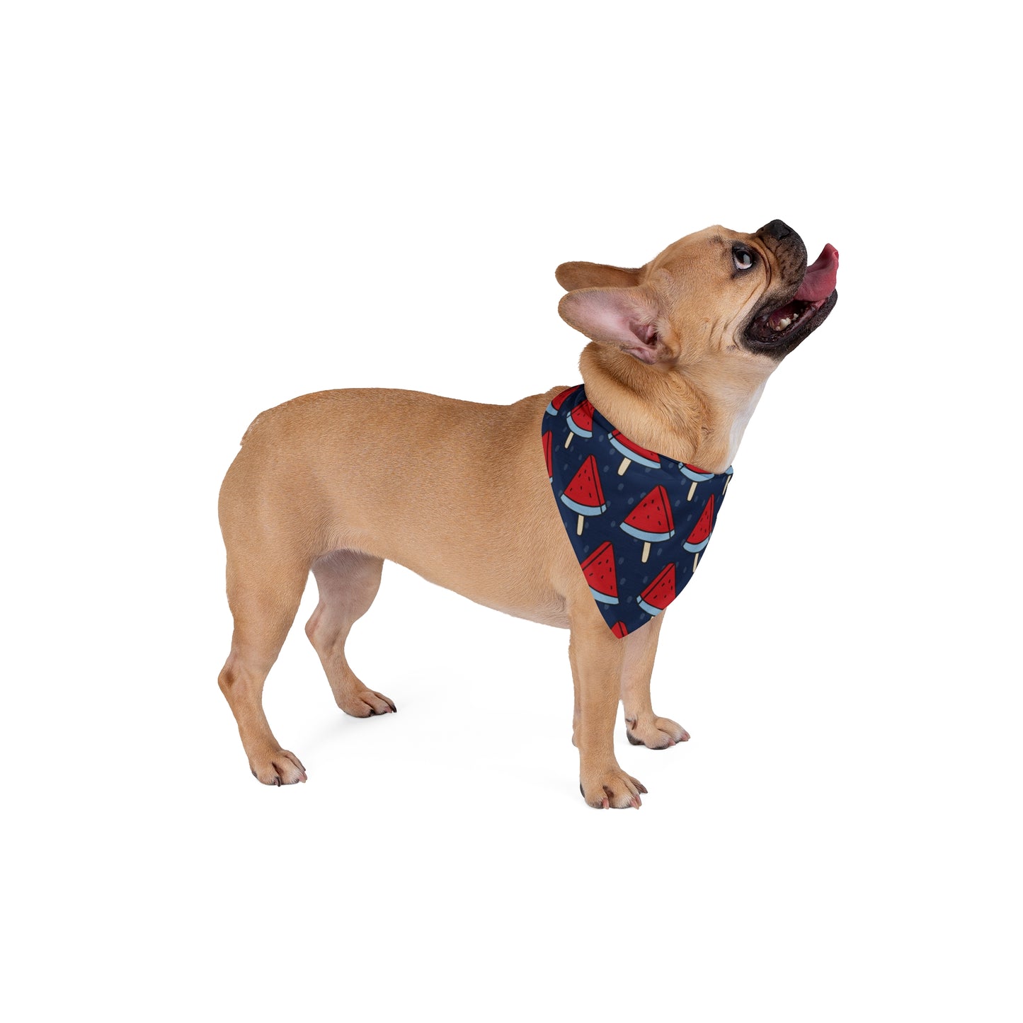 Blue and Red Watermelon Ice Cream, 4th of July, Patriotic Bandana