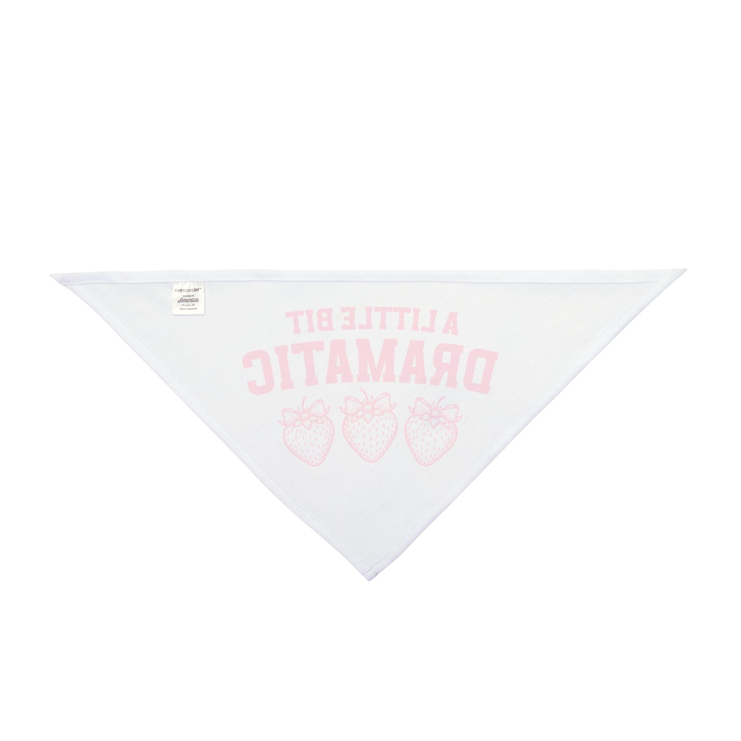 A little bit dramatic, Coquette Bandana