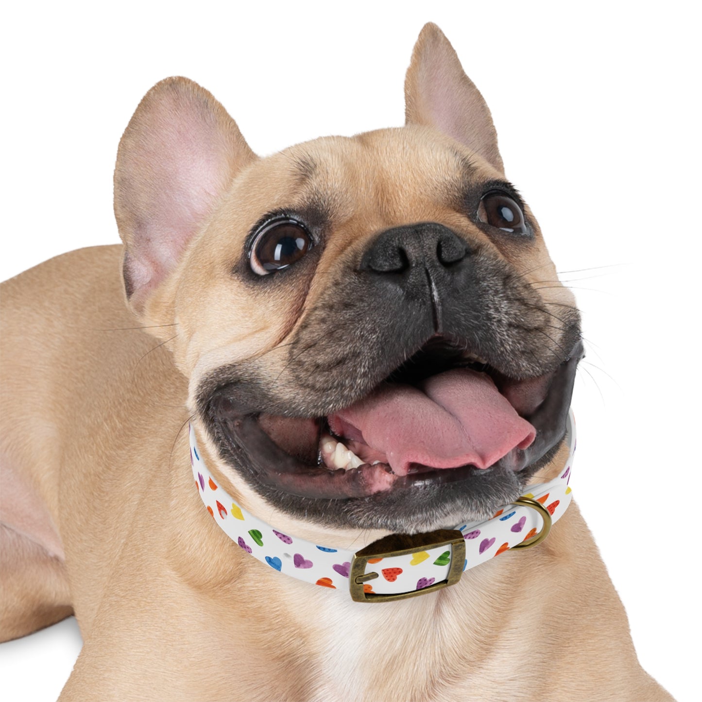 Pride Special Pattern Dog Collar