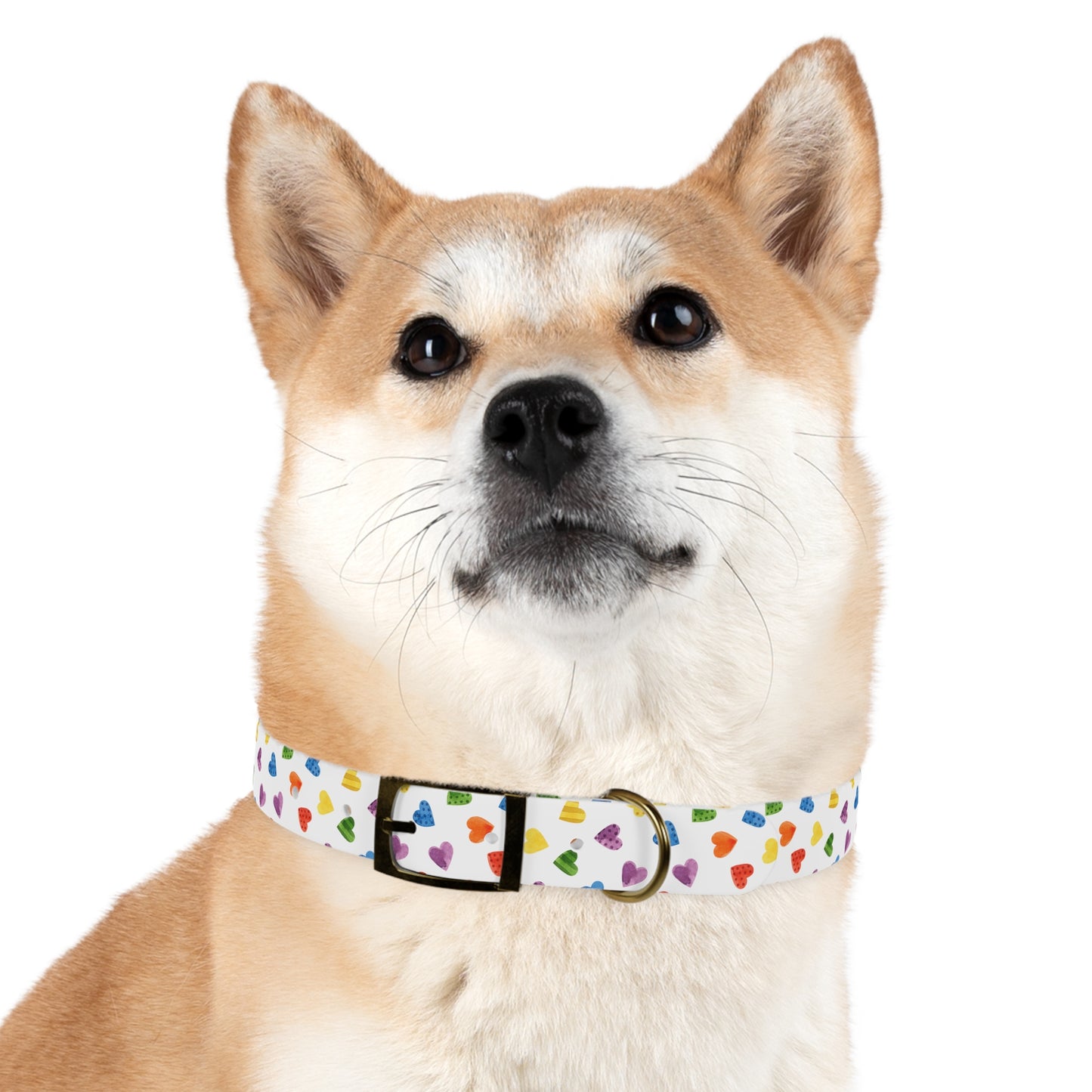 Pride Special Pattern Dog Collar
