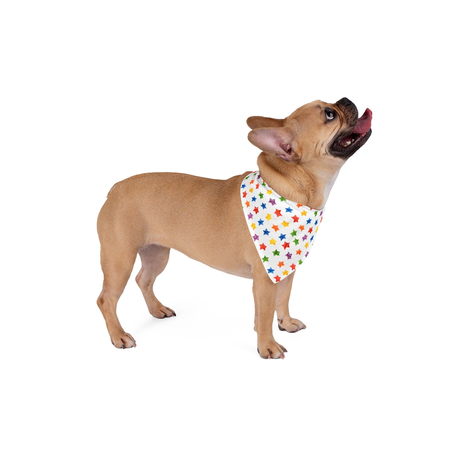 Pride Month Special Pattern Bandana