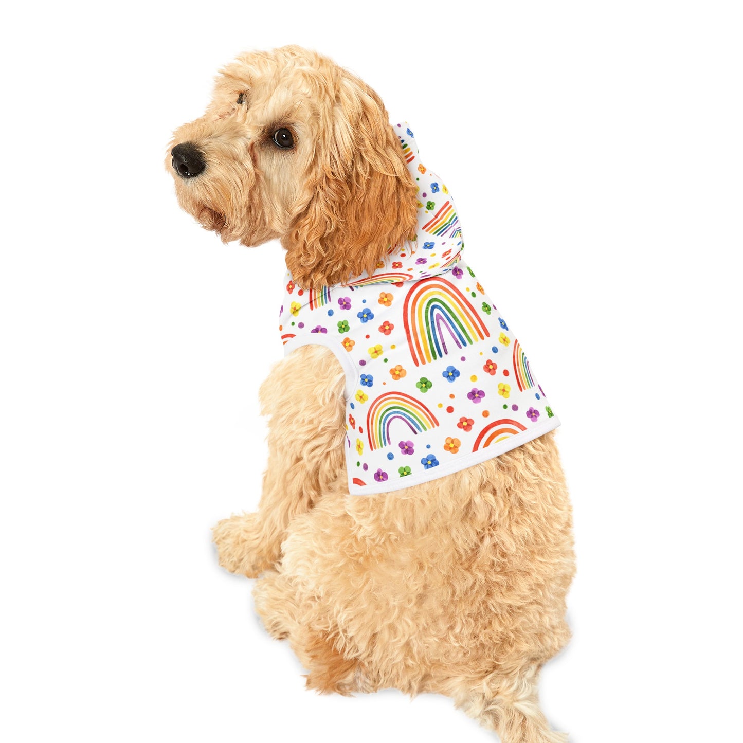 Pride Month Special Pet Hoodie