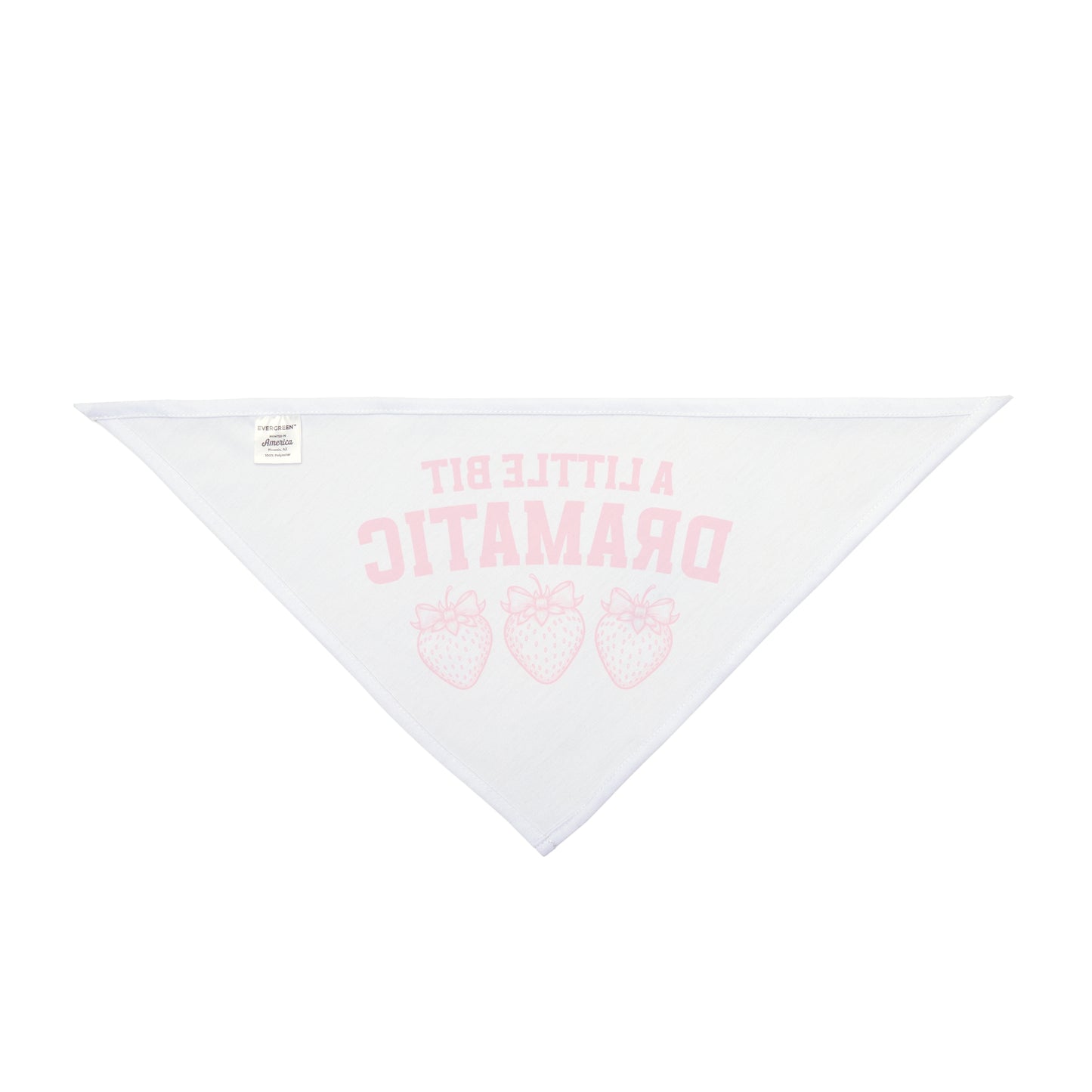 A little bit dramatic, Coquette Bandana