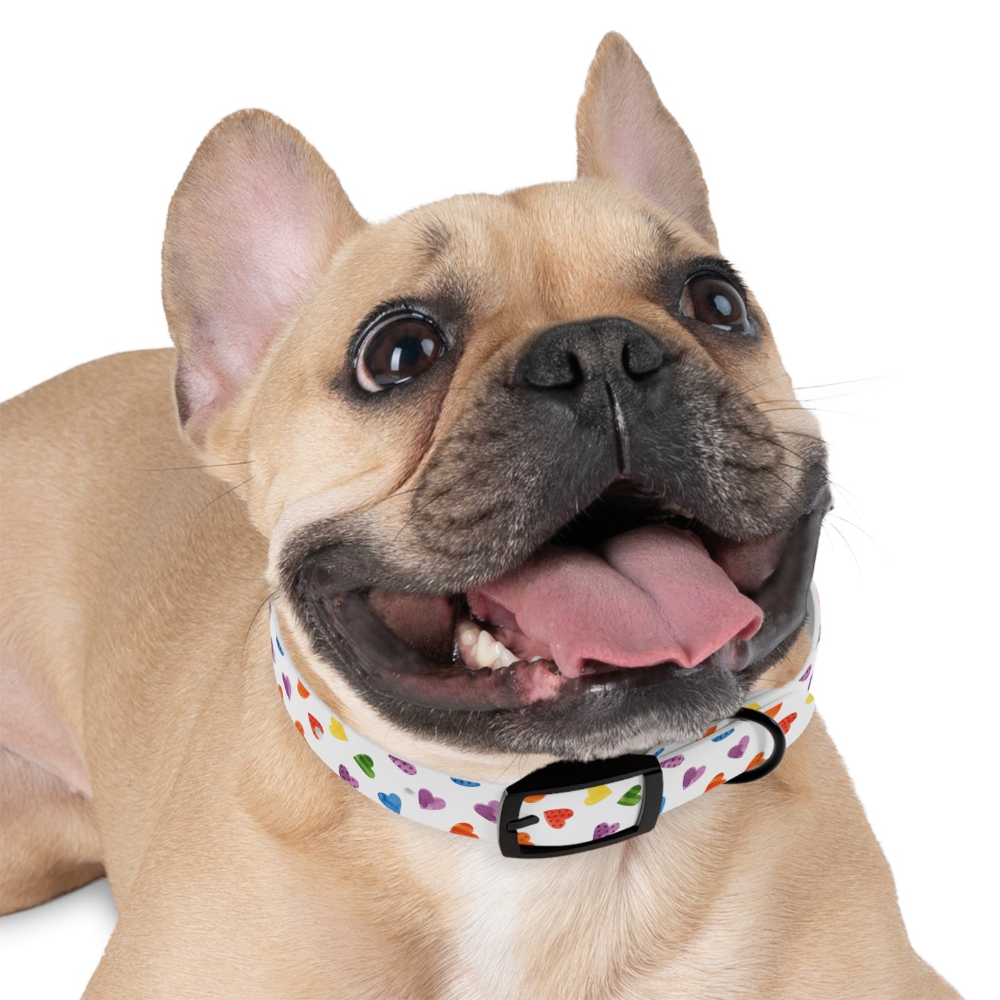 Pride Special Pattern Dog Collar