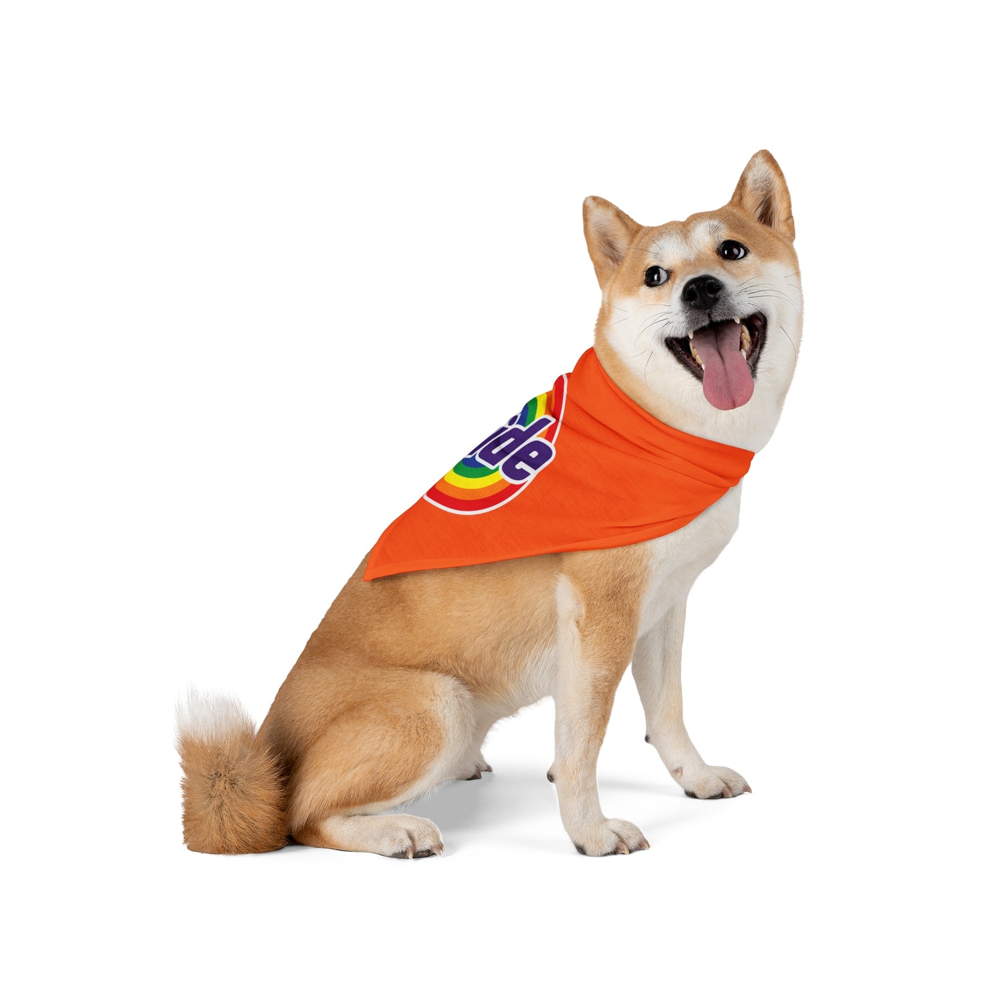 Pride rainbow Bandana