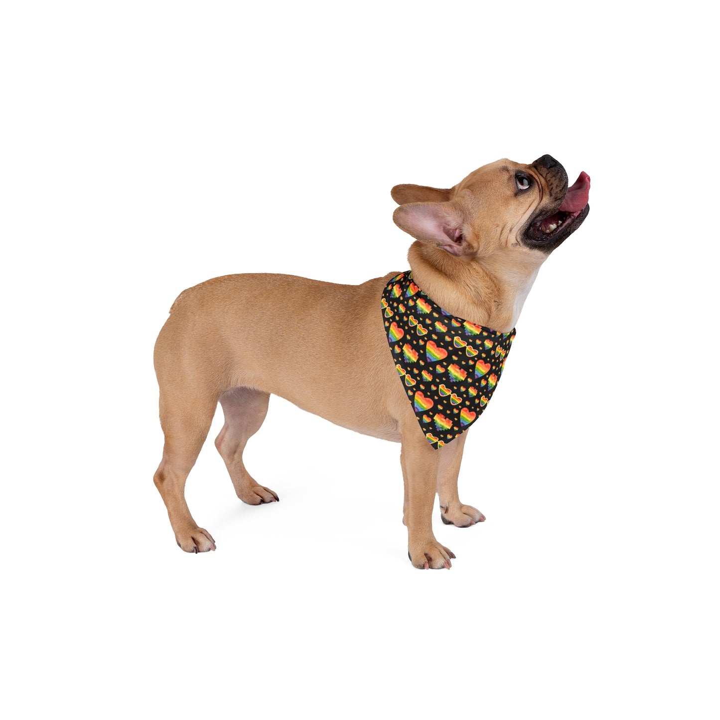 Pride Month Pattern Special Bandana