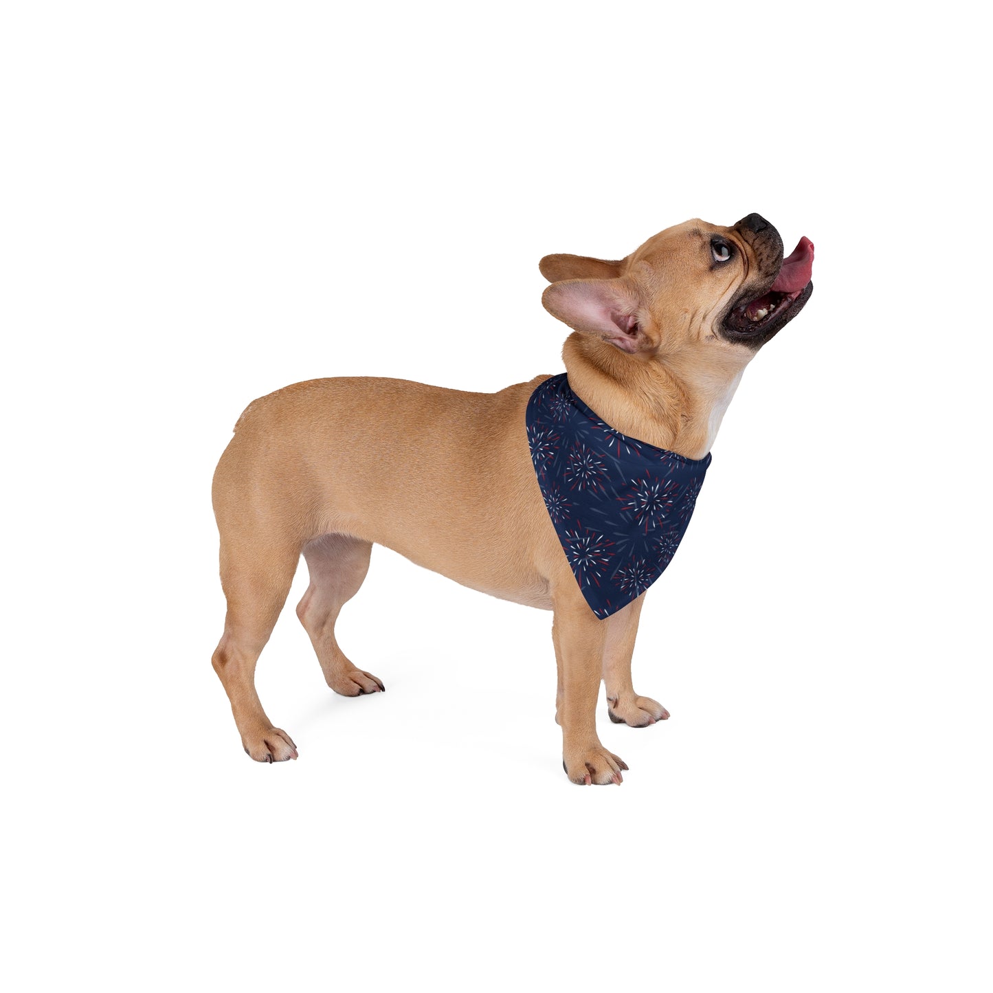 Fireworks, 4th of July, Patriotic Bandana