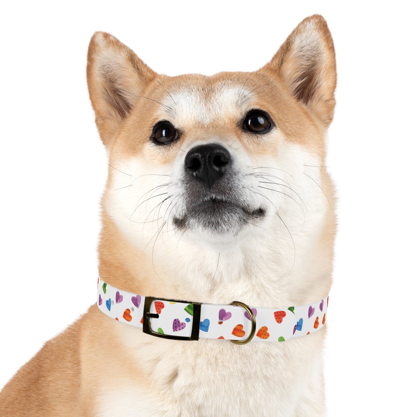 Pride Special Pattern Dog Collar