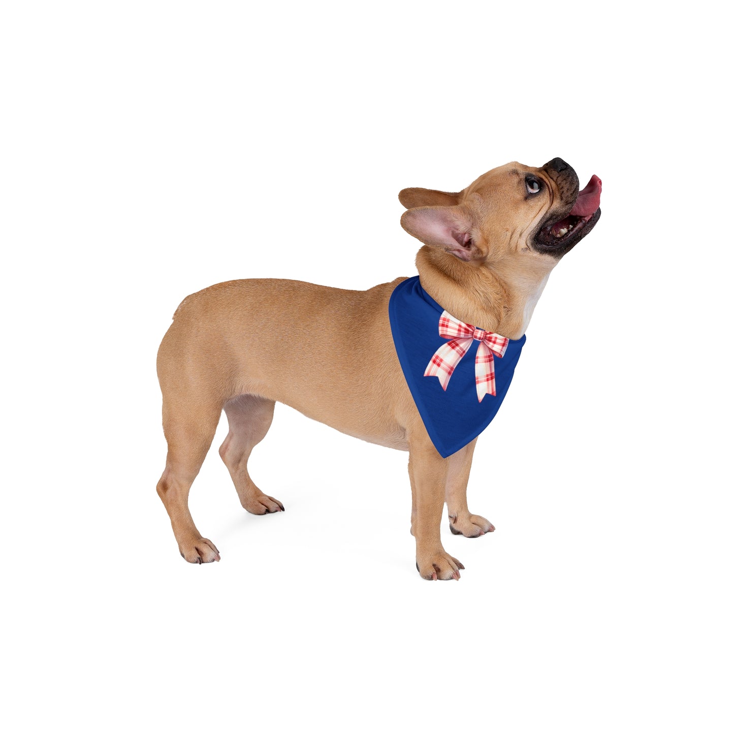 4th of July Bow, Patriotic Coquette Bandana