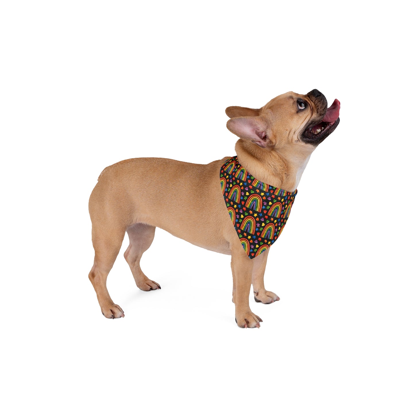 Pride Month Special Pattern Bandana