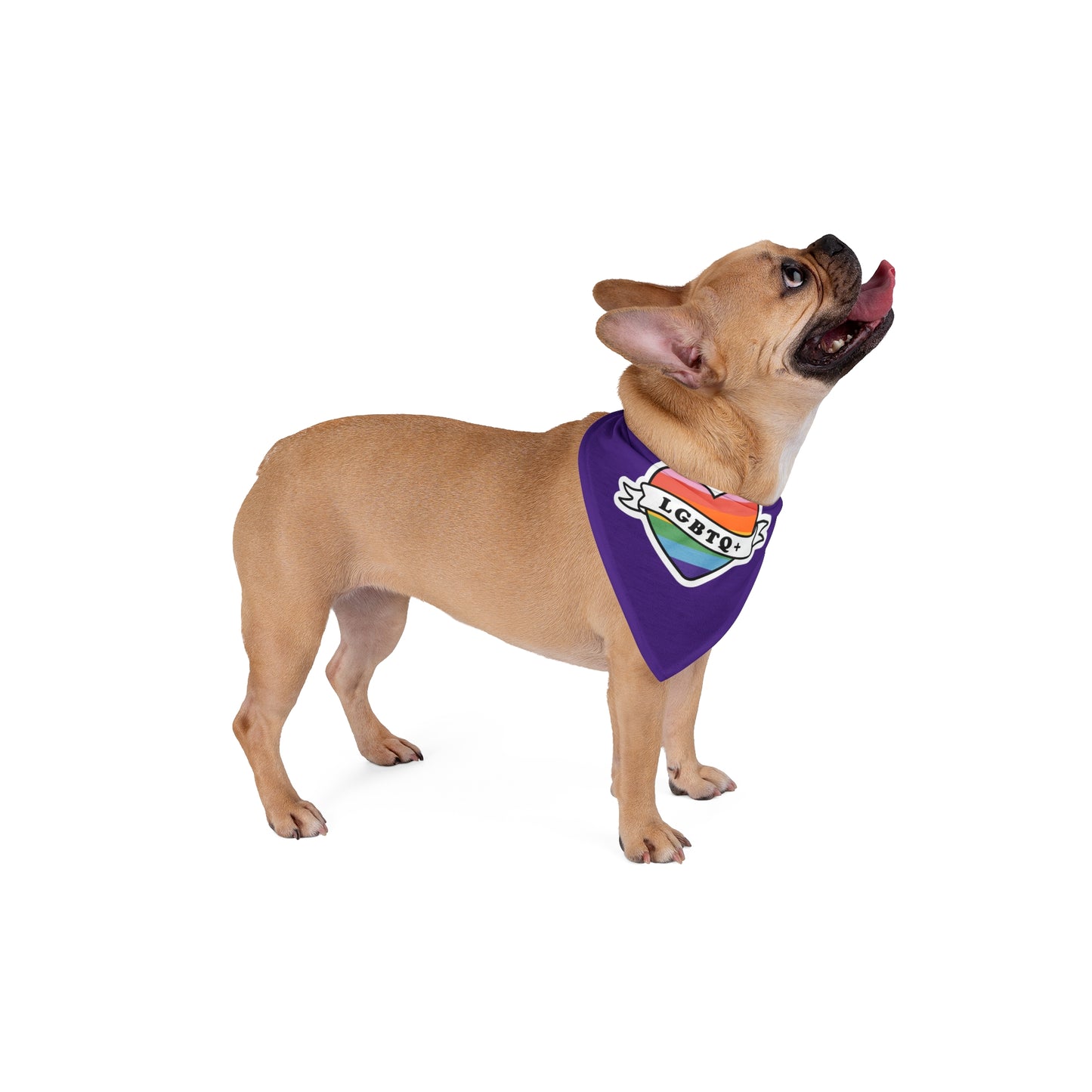 Pride LGBTQ rainbow Bandana