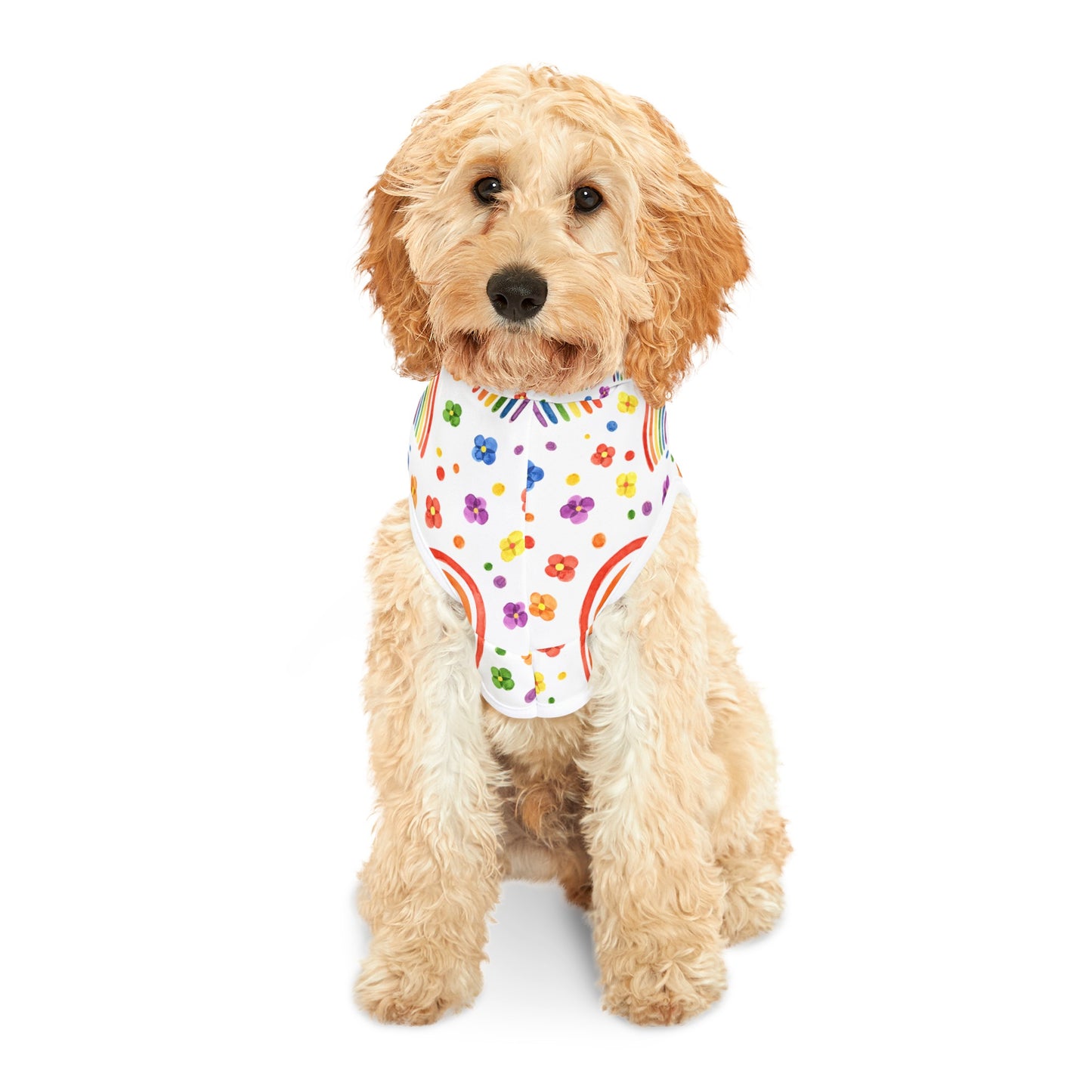 Pride Month Special Pet Hoodie
