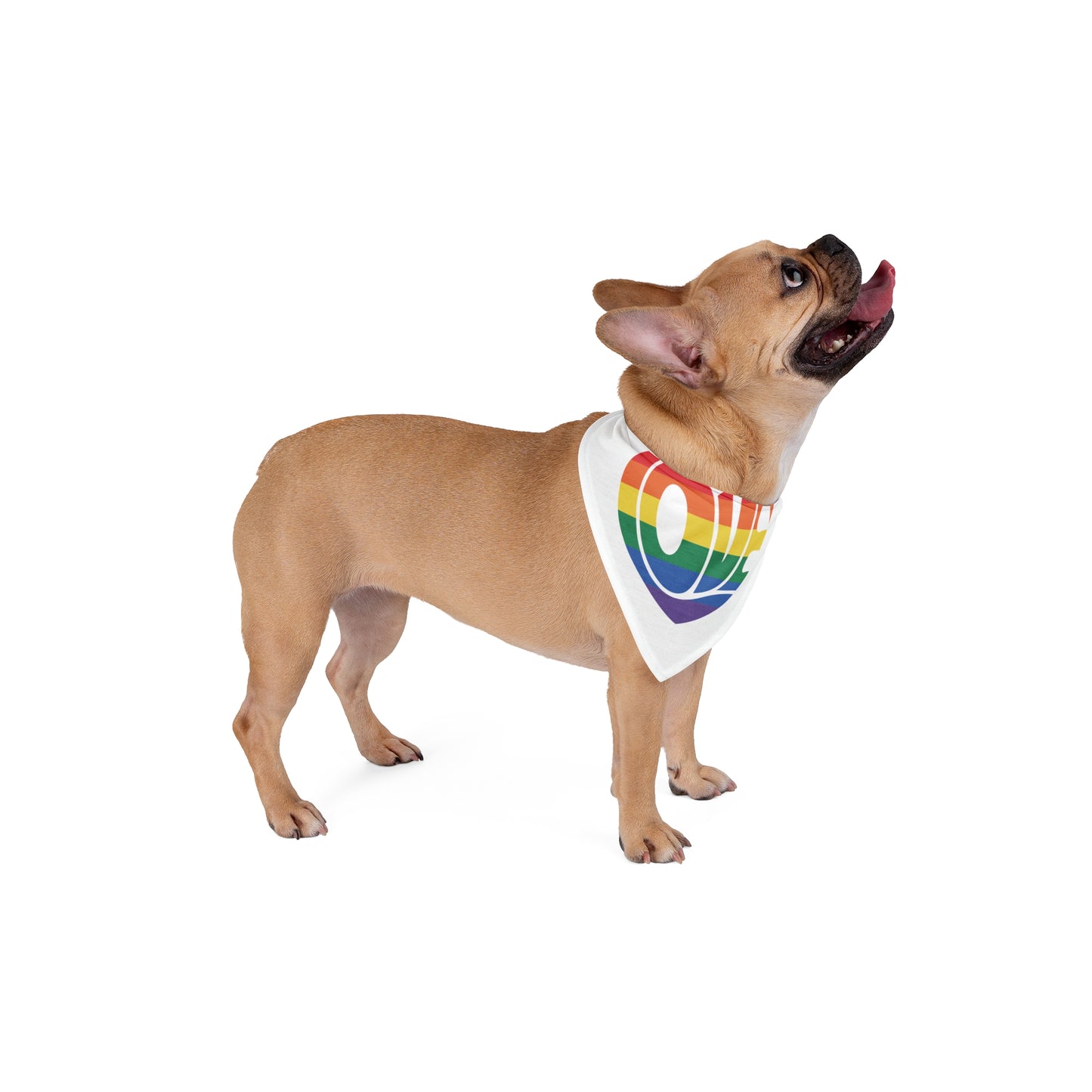 Love is Love, Pride rainbow Bandana