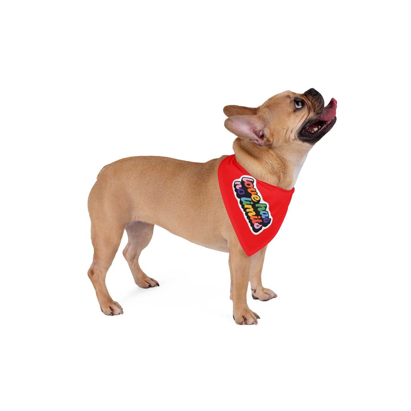 Pride Love has no limits Bandana