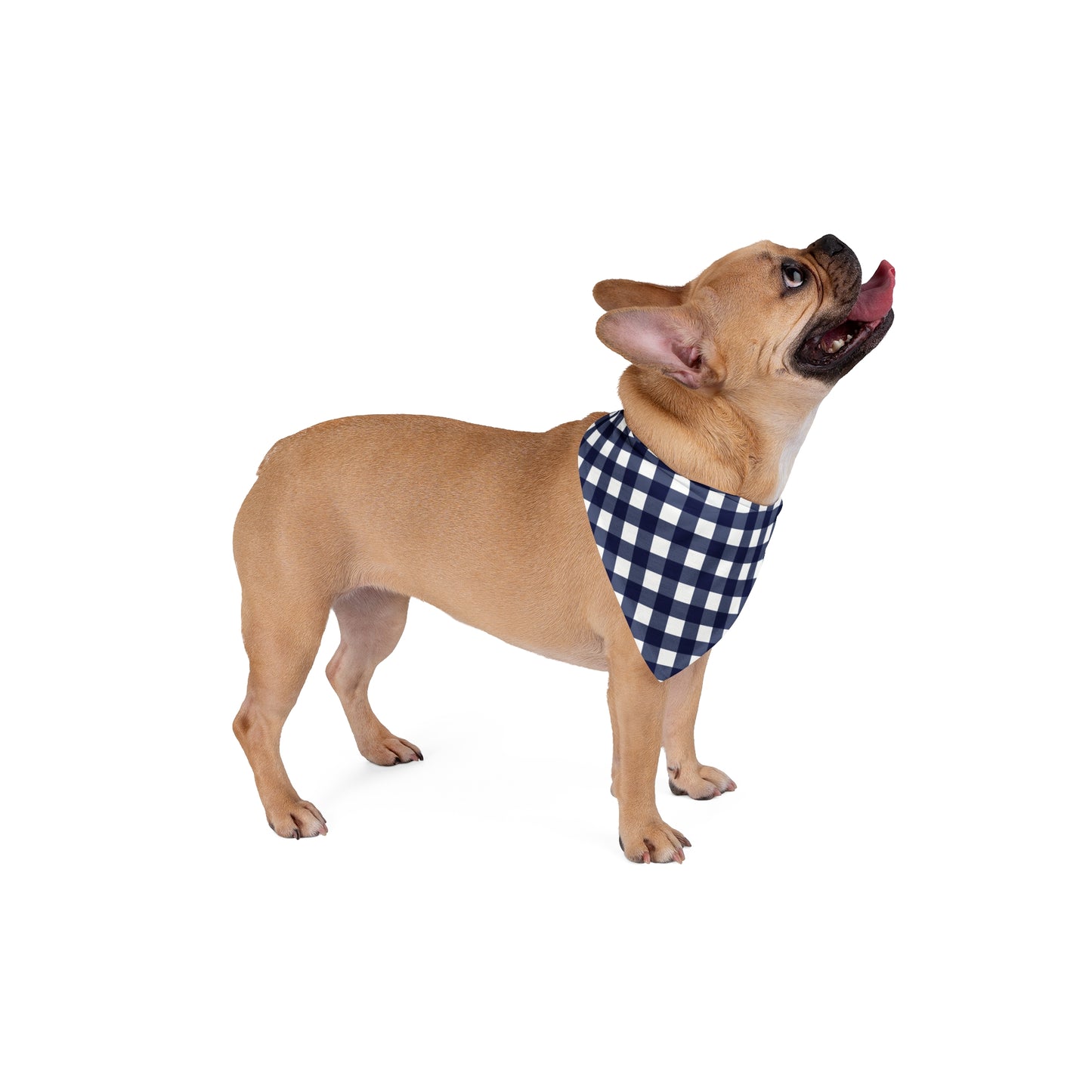 Indenpendence Day, 4th of July, Patriotic Bandana