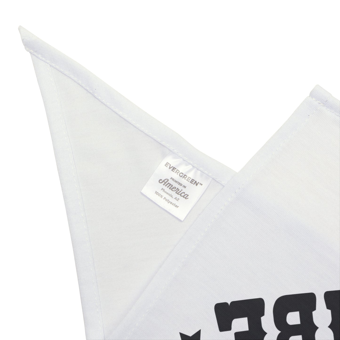 Pride tribe rainbow Bandana