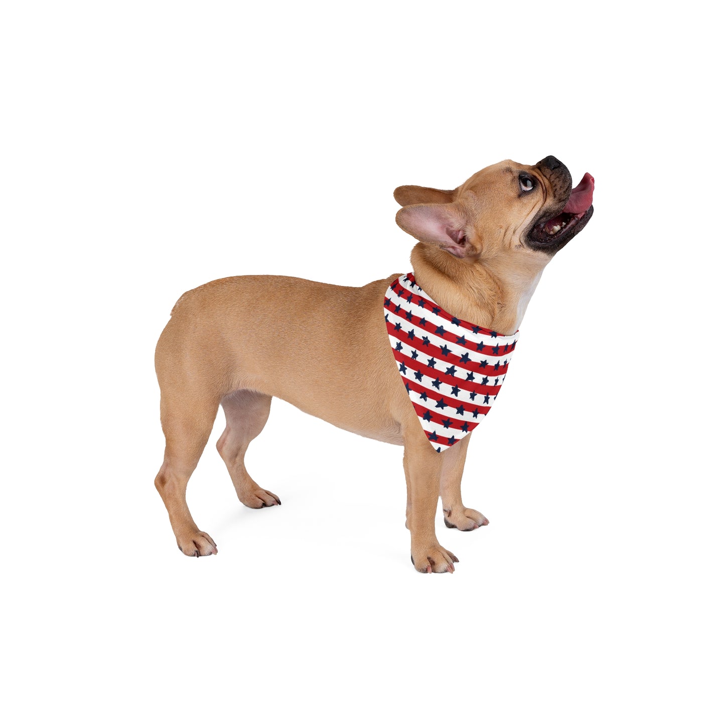 Stars, USA Flag, 4th of July, Patriotic Bandana