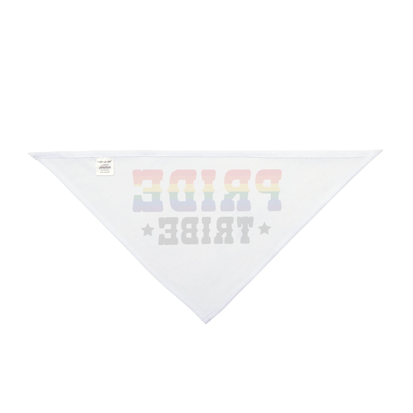 Pride tribe rainbow Bandana