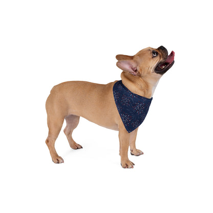 Fireworks, 4th of July, Patriotic Bandana