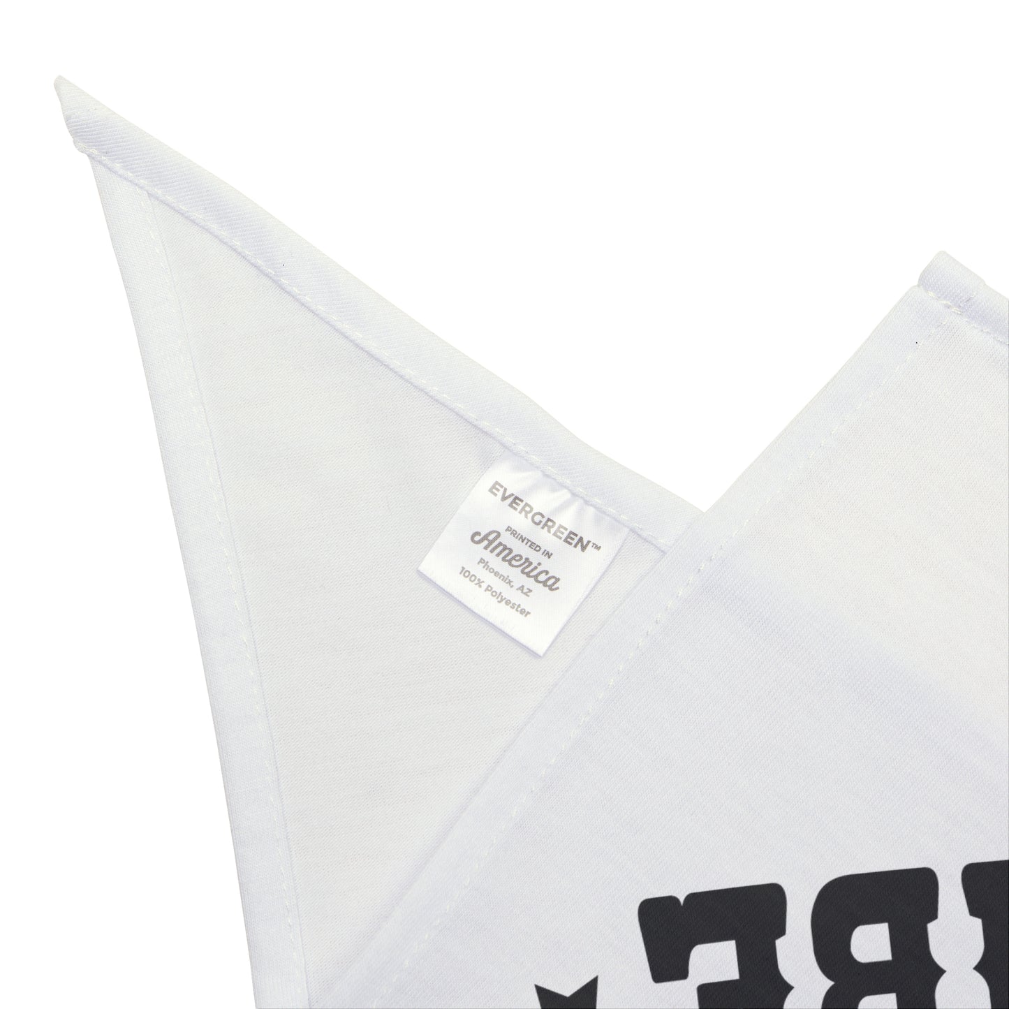 Pride tribe rainbow Bandana